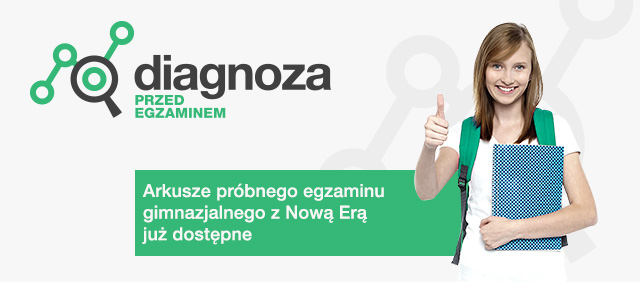 Biuletyn internetowy